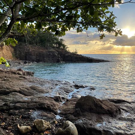 Villa Nature Caraibe Lodge, Vue Mer, Piscine Privee Десе Екстер'єр фото
