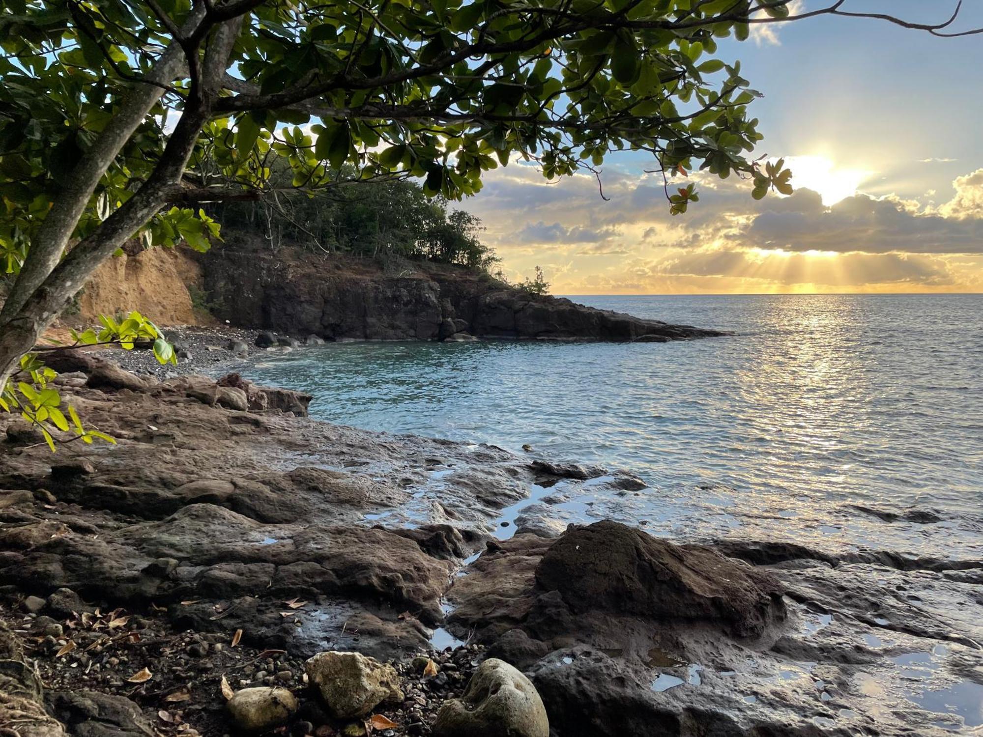 Villa Nature Caraibe Lodge, Vue Mer, Piscine Privee Десе Екстер'єр фото