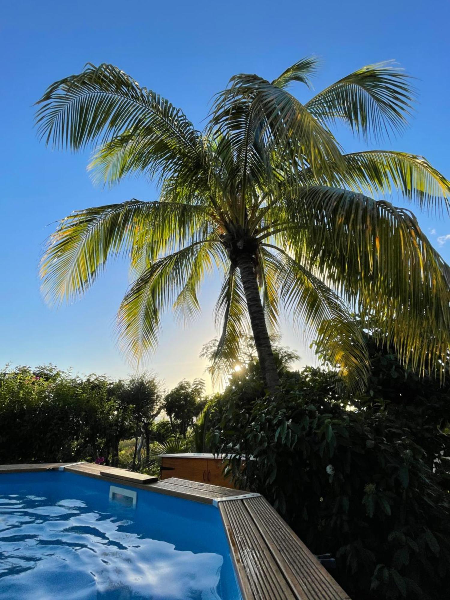 Villa Nature Caraibe Lodge, Vue Mer, Piscine Privee Десе Екстер'єр фото